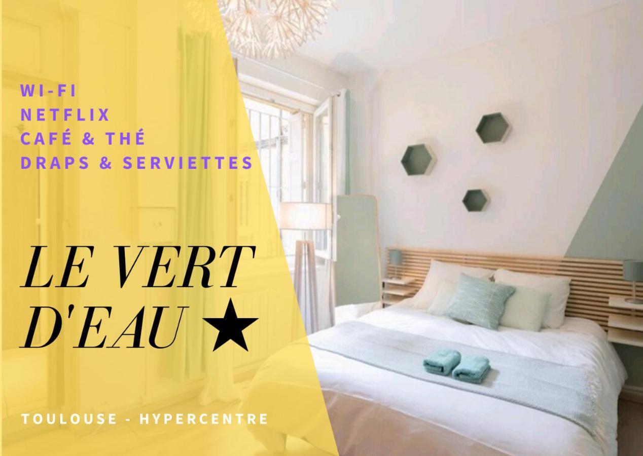 Le Vert D'Eau - Rue Riquet - Terrasse Toulouse Eksteriør bilde
